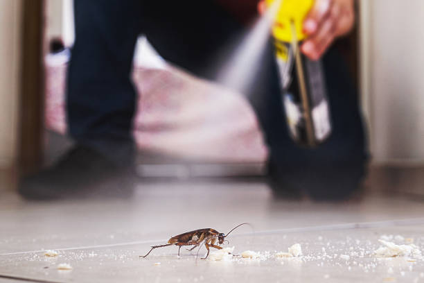 Trusted El Dorado Springs, MO Pest Control Experts